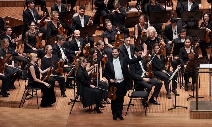 Meet the Musicians