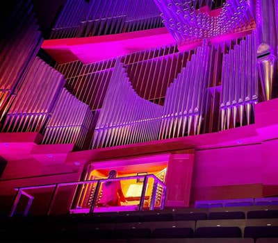 Person playing a large pipe organ illuminated by vibrant purple and pink lights.